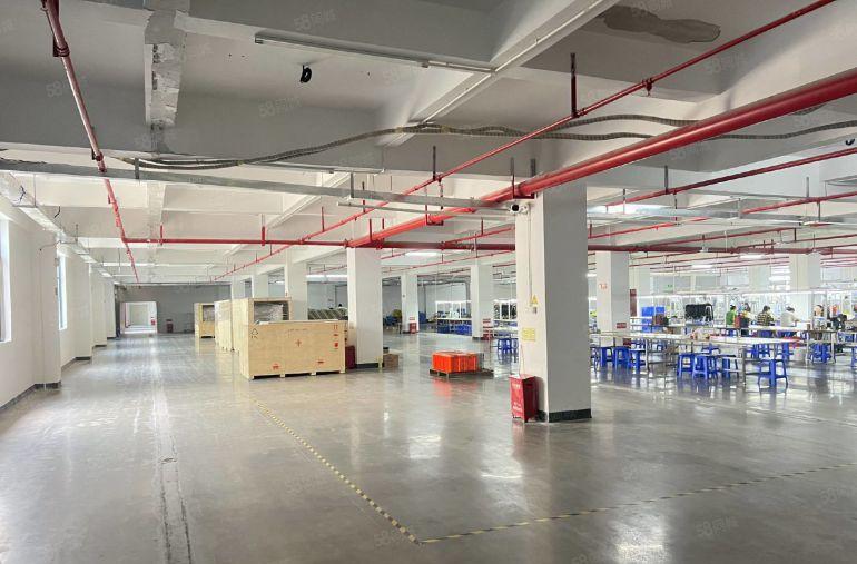 陈江工业区新出楼上现成装修3000平办公室仓库厂房低价出租