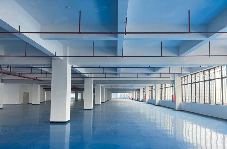 仲恺新出原房东3000平米带地坪漆厂房仓库低价出租有红本可分