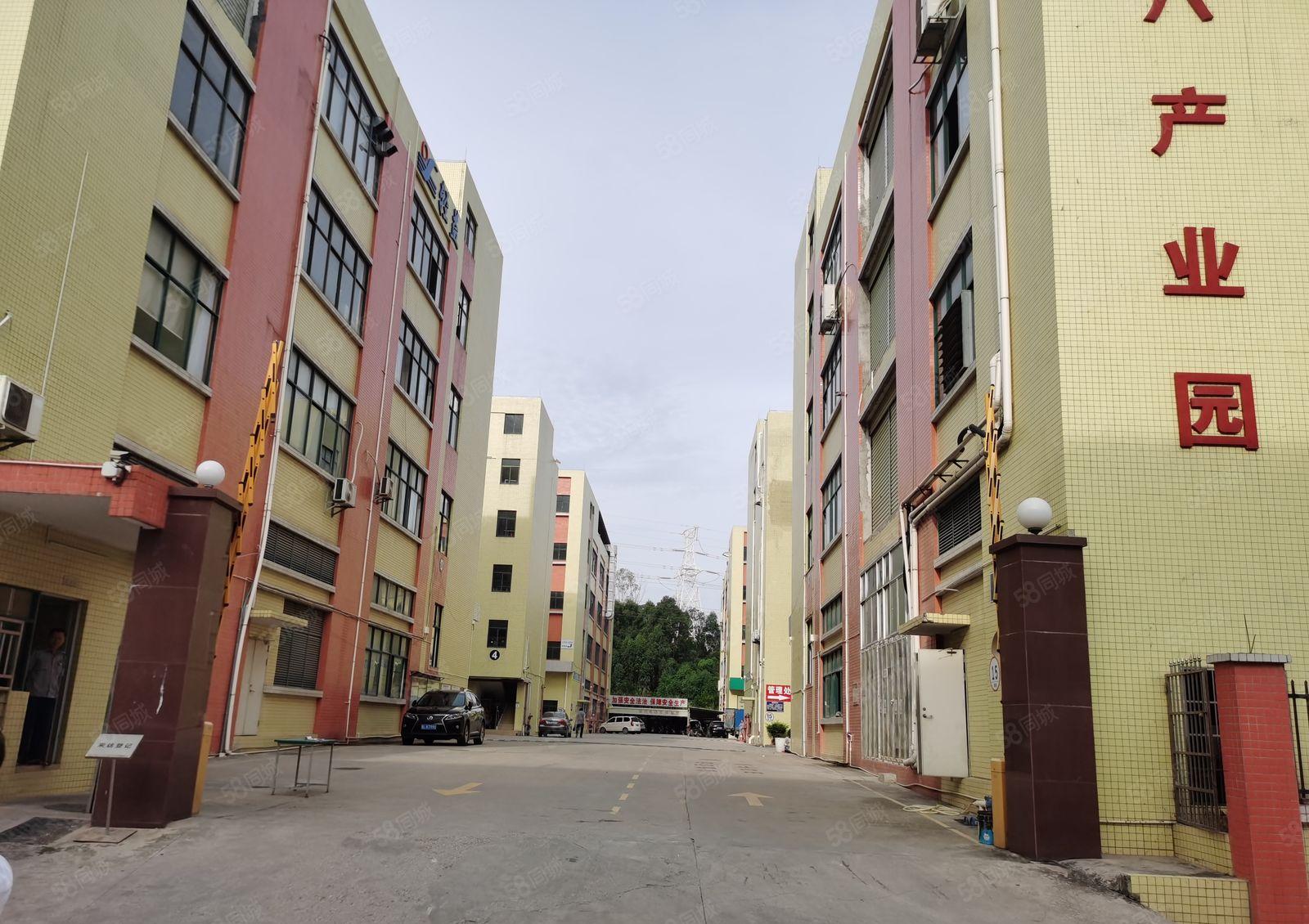 仲恺无公摊现成豪华装修二楼厂房1800平米出租无需转让费