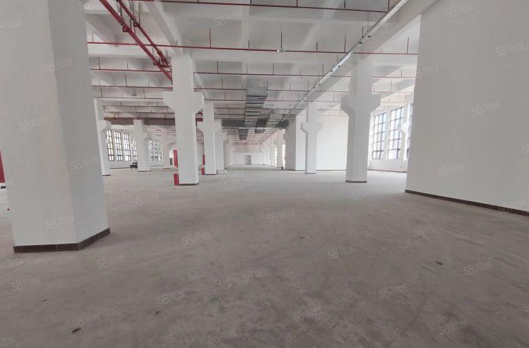厂房出租全新红本厂房58000平低价招租一楼层高7米带牛角