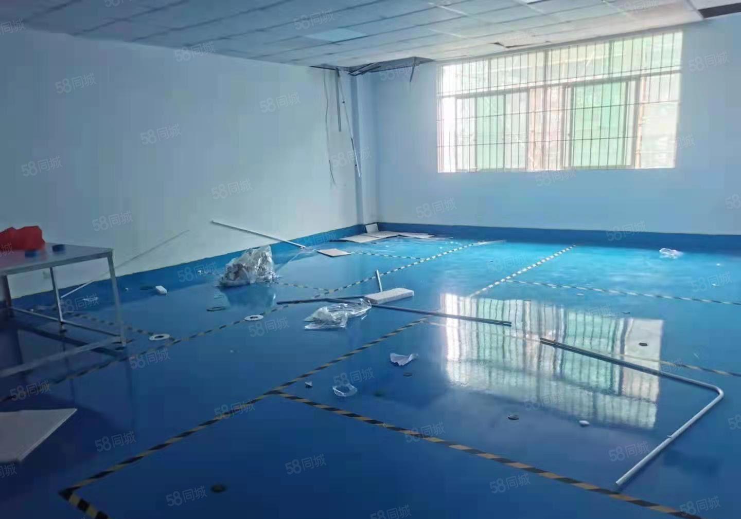 仲恺高新区潼侨原房东900平带装修厂房