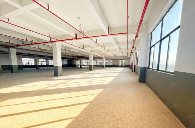 陈江原房东实际面积出租1500平急租仓库物流带装修