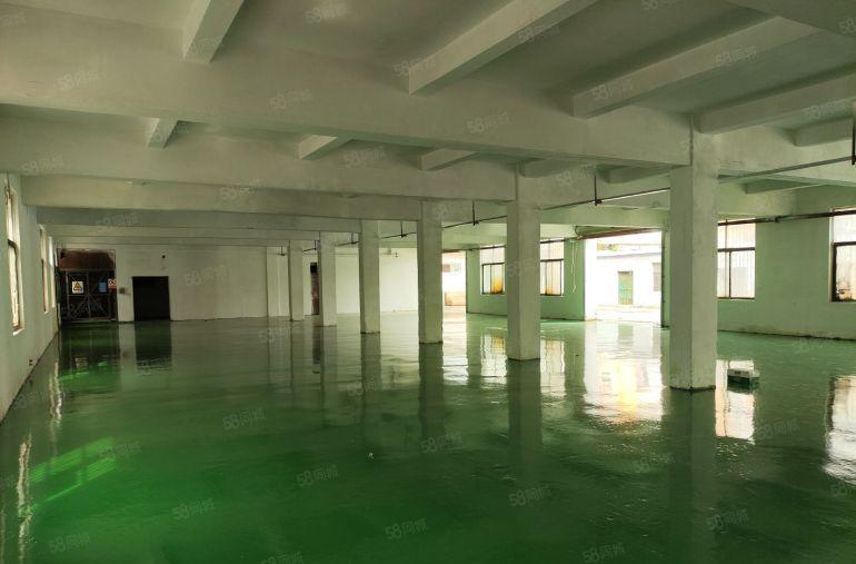 惠州陈江沥林独门独院厂房低价出租4200平带全新地坪漆易招工