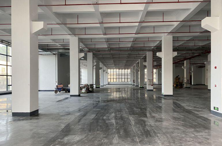 惠州市全新红本厂房10元起租面积1000平方起分