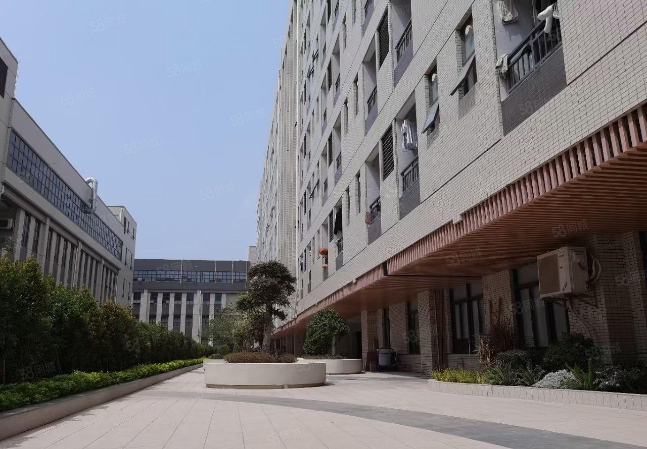 仲恺高新区新出原房东红本重工业标准厂区15000平