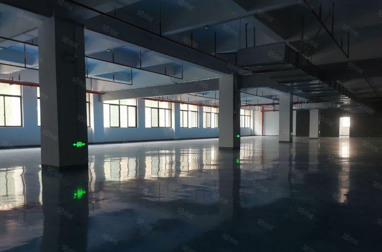 陈江全新工业生产基地330平至3200平只要10元全新地坪漆