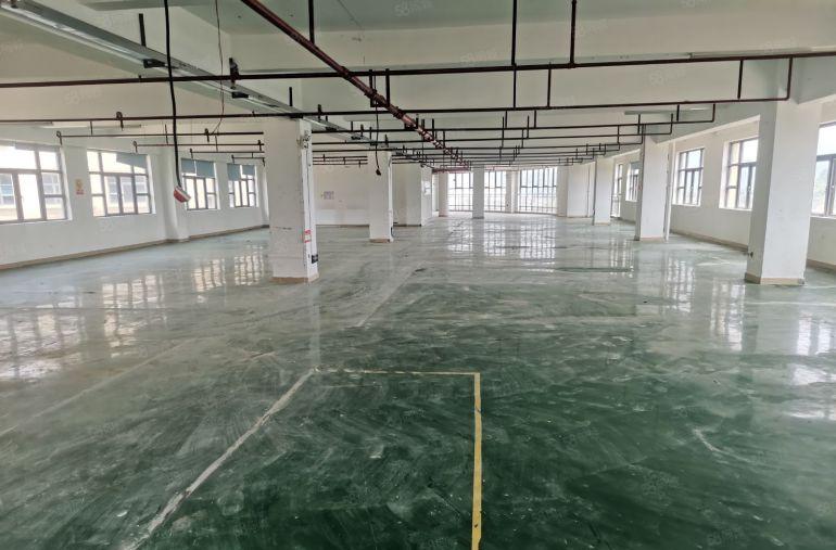 仲恺惠环500平起分租精装红本厂房仓库2楼2000平可分租