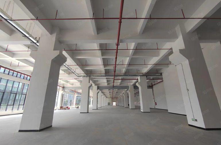 仲恺陈江全新厂房出租低价大小可分租可环评重工业标准厂房空地大