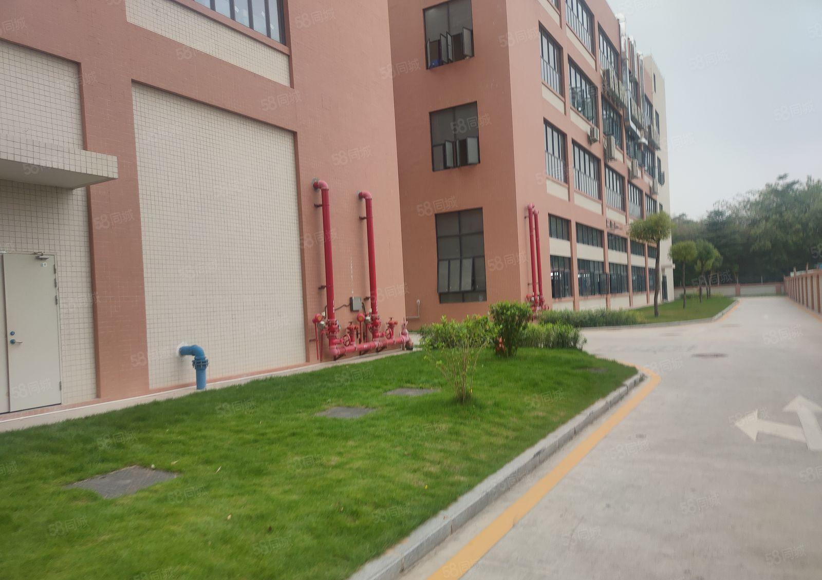 1000平方起分租大亚湾工业区2000平方原房东低价厂房出租