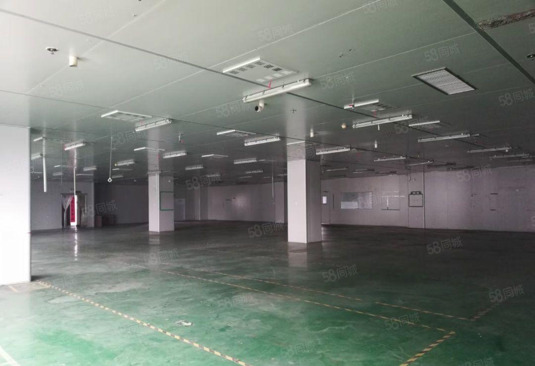 仲恺高新区陈江标准厂房带装修1500平可分租