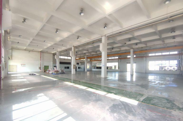 低价仲恺陈江中心位置一楼2000平方滴水8带装修厂房大小可分