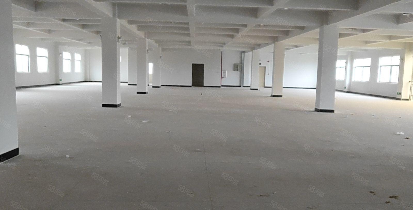 陈江灯饰聚集地工业园区厂房2500平米出租可分租