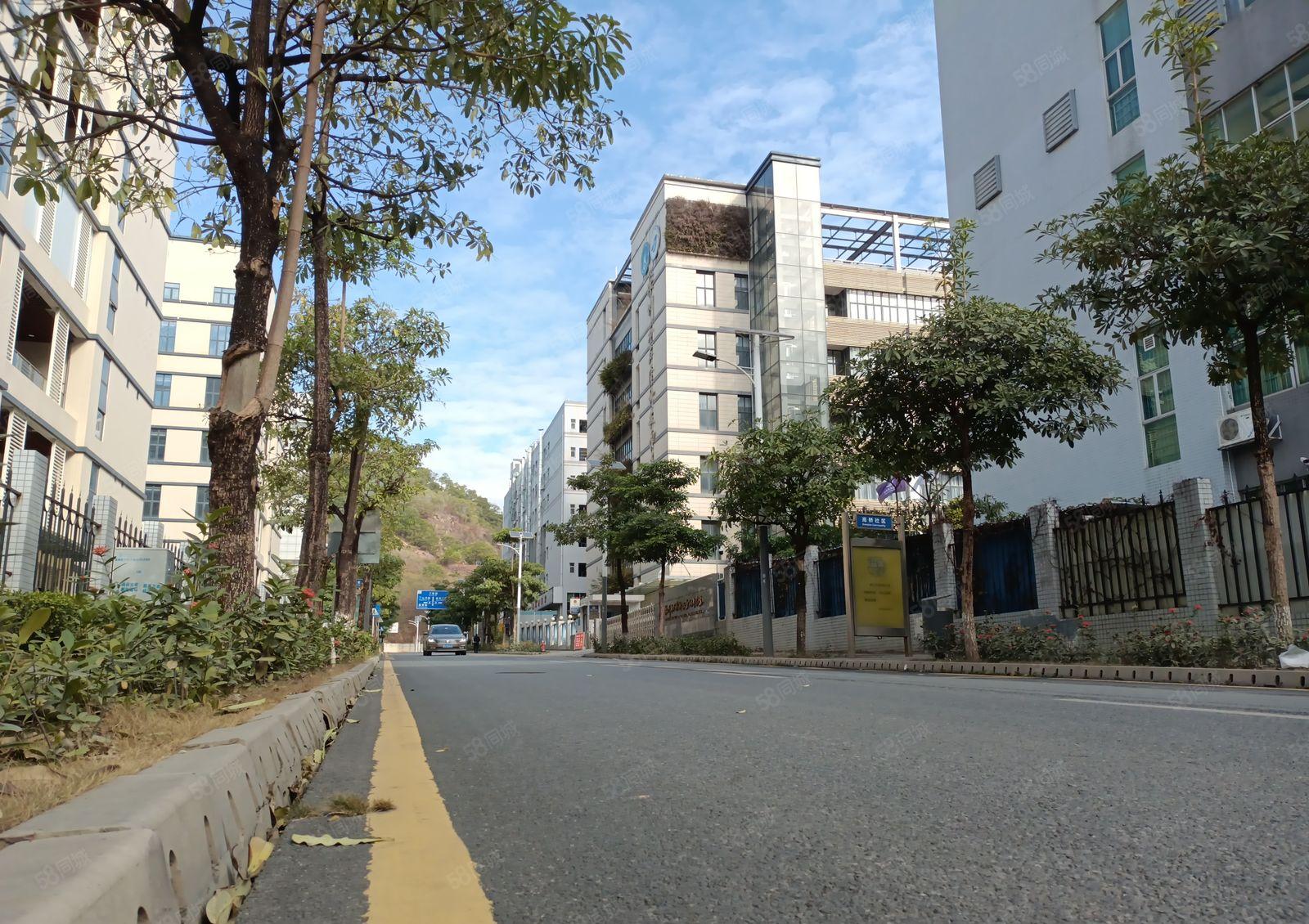 仲恺 沥林 高速路口 原房东 全新5000平方厂房出租可分租