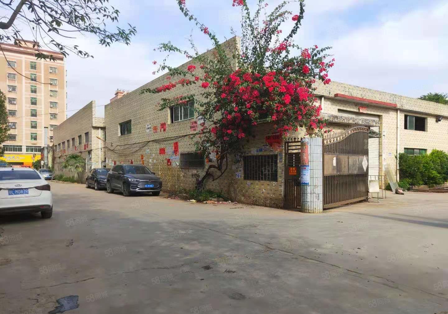 仲恺陈江2700独门独院钢构厂房仓库出租无公摊原房东可办环评