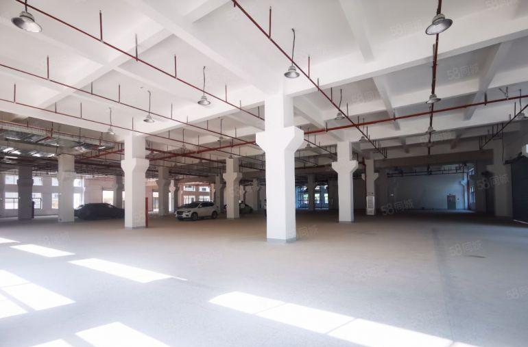 仲恺高新区原房东（独门独院）红本厂房14800宿舍2630平