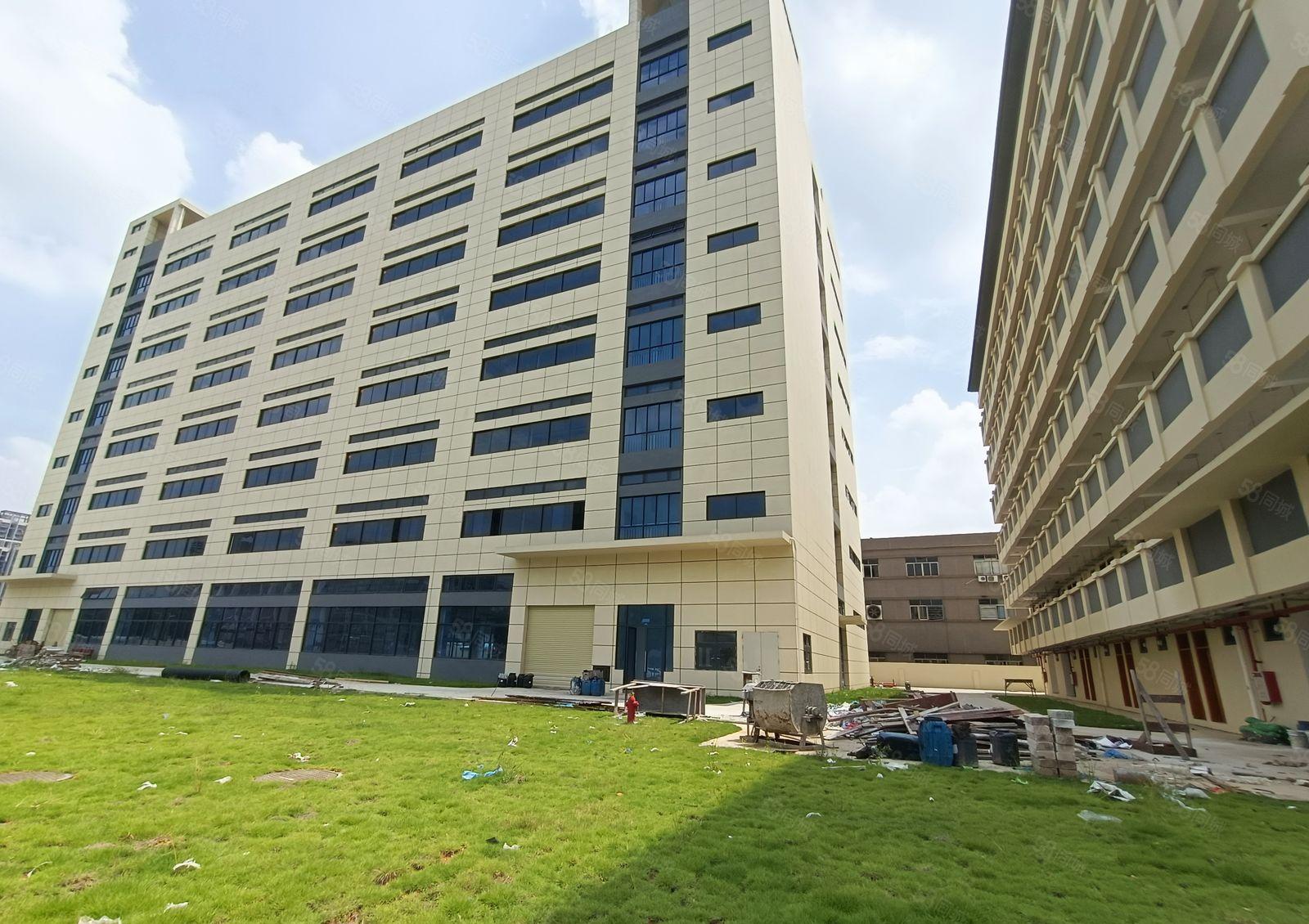 陈江全新红本厂房15000平方招租！带消防喷淋，大小分租！