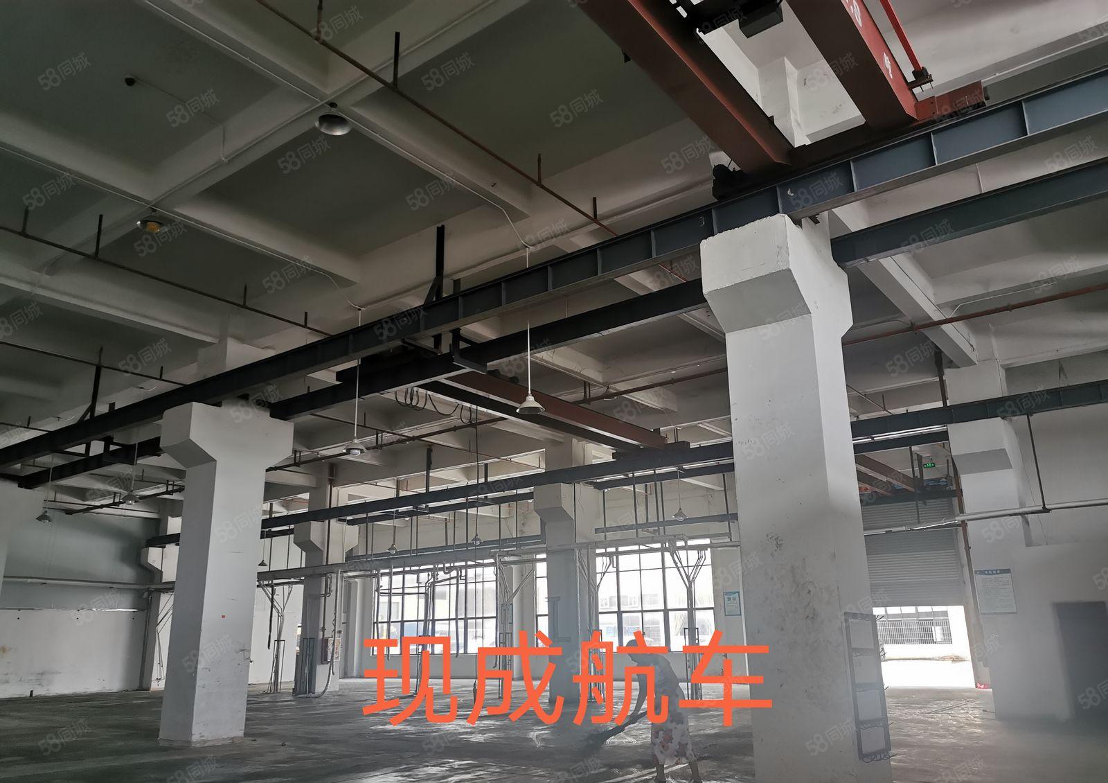 非中介！博罗现成装修红本厂房！原房东现场招商！