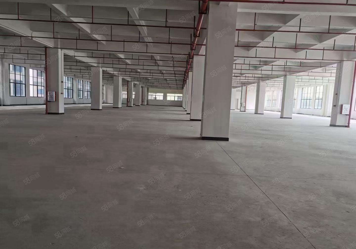 非中介！！房东现场招商！价格便宜，大小可分租！