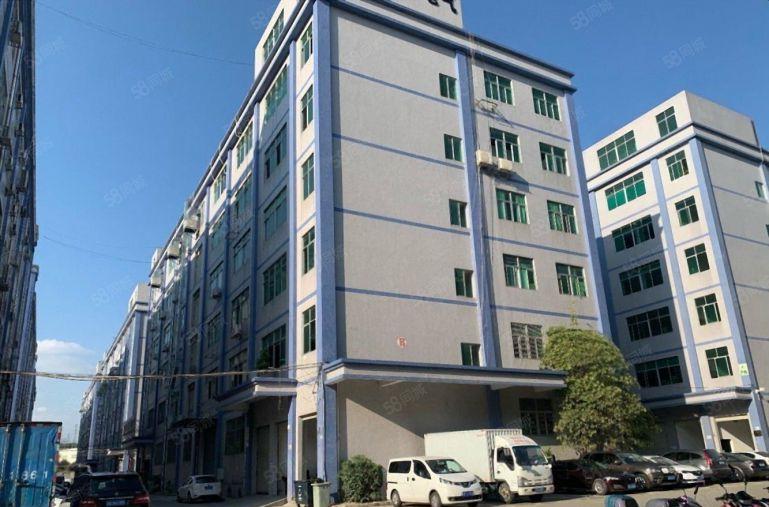 沥林8元厂房，1000平现成装修，原房东厂房出租，不限行业