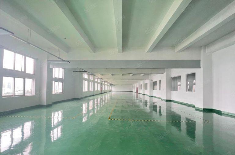 仲恺陈江楼上2000平厂房特价出租带装修现成办公室无须转让费