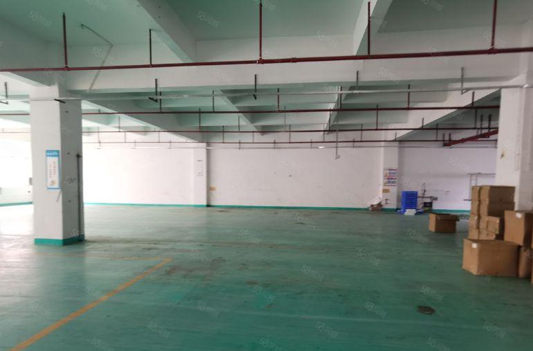 成熟工业区一二楼共3600平方厂房 有现成装修500起租