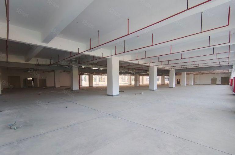 仲恺潼桥全新厂房低价出租 单层面积1680 可分租 10元起