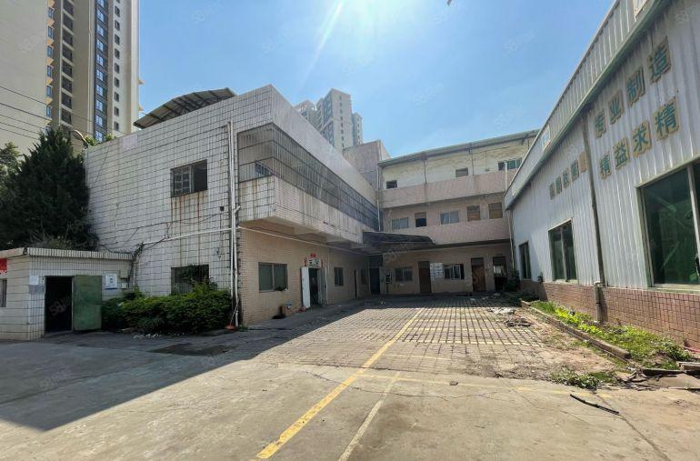 原房东单一层钢构9米高！陈江镇主路边独院3800平方厂房出租