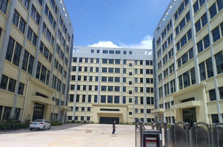 仲恺原房东全新红本独院40000平米厂房出租可分租空地超大