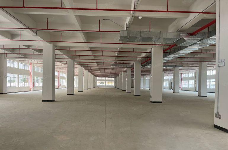 低价出租仲凯高新区一手房东独院厂房16600平方米