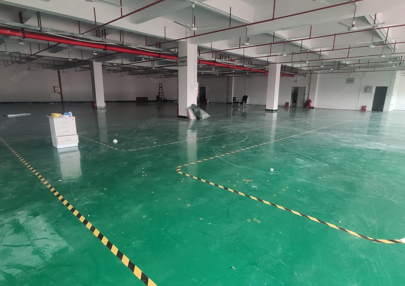 10元起租惠阳镇隆镇原房东红本一楼厂房仓库出租可排水喷油喷漆