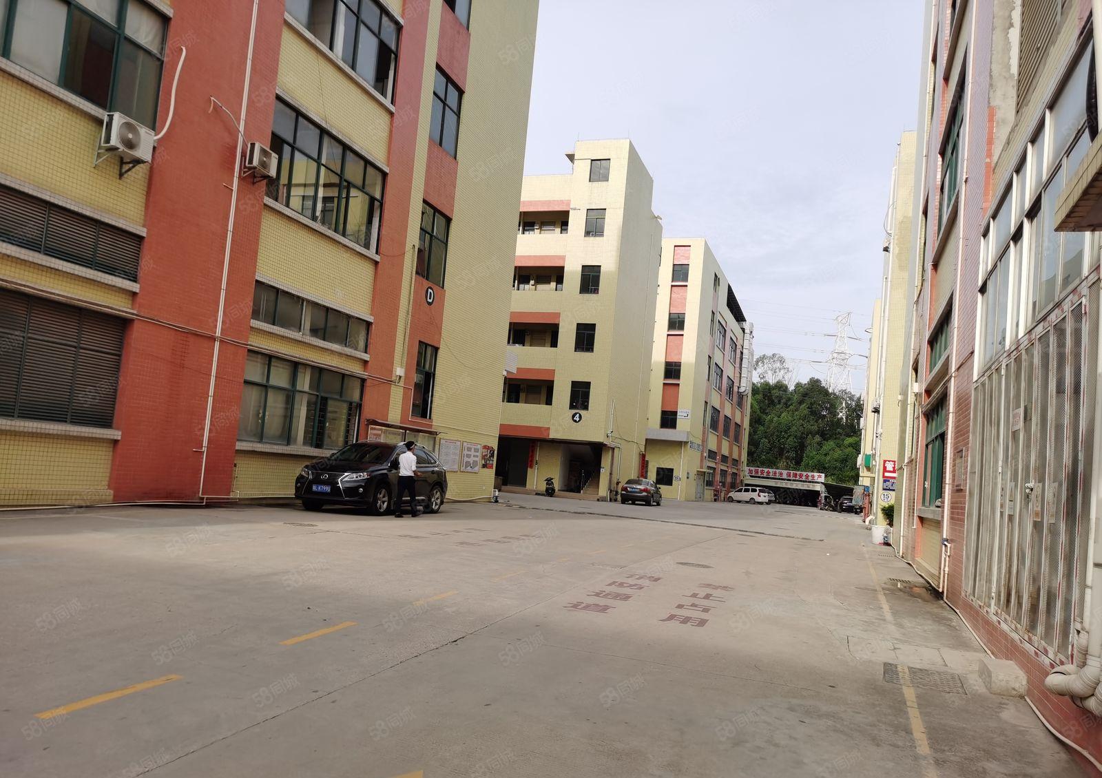 仲恺无公摊现成豪华装修二楼厂房1800平米出租无需转让费