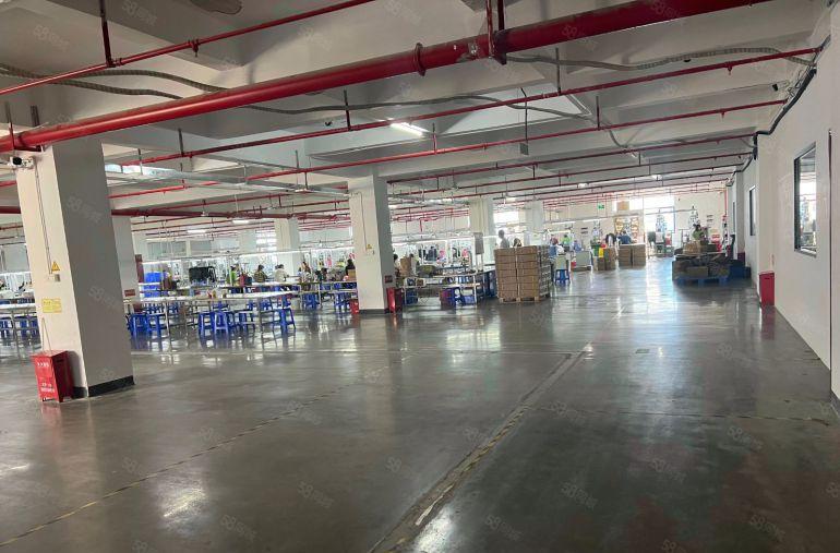 仲恺新出原房东2000平米厂房仓库年前低价出租免租期长带装修