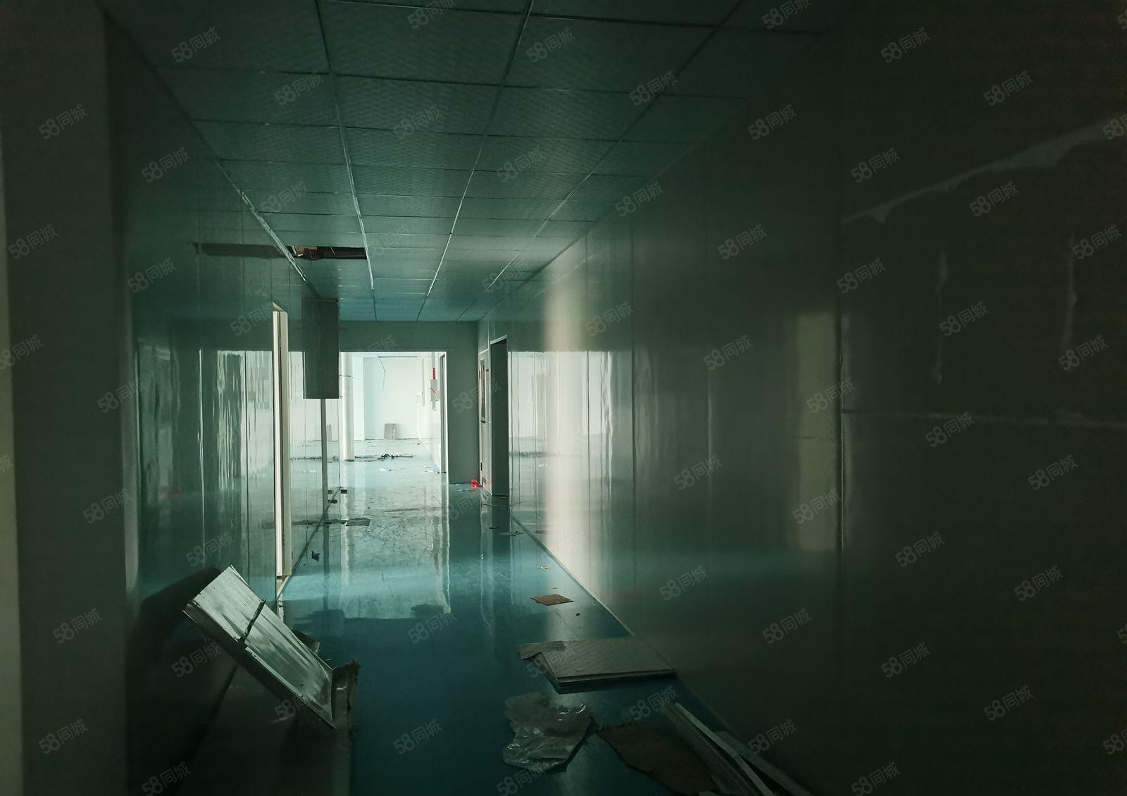 平南高速路口原房东厂房1000平方带无尘车间