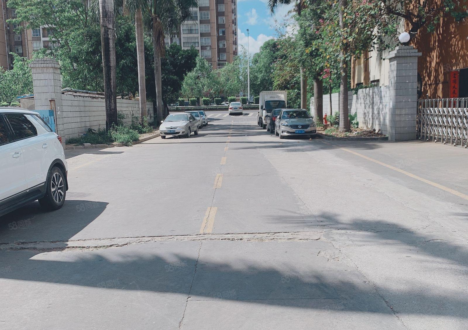 仲恺沥淋原房东1500一楼高6米1000仓库厂房出租200起