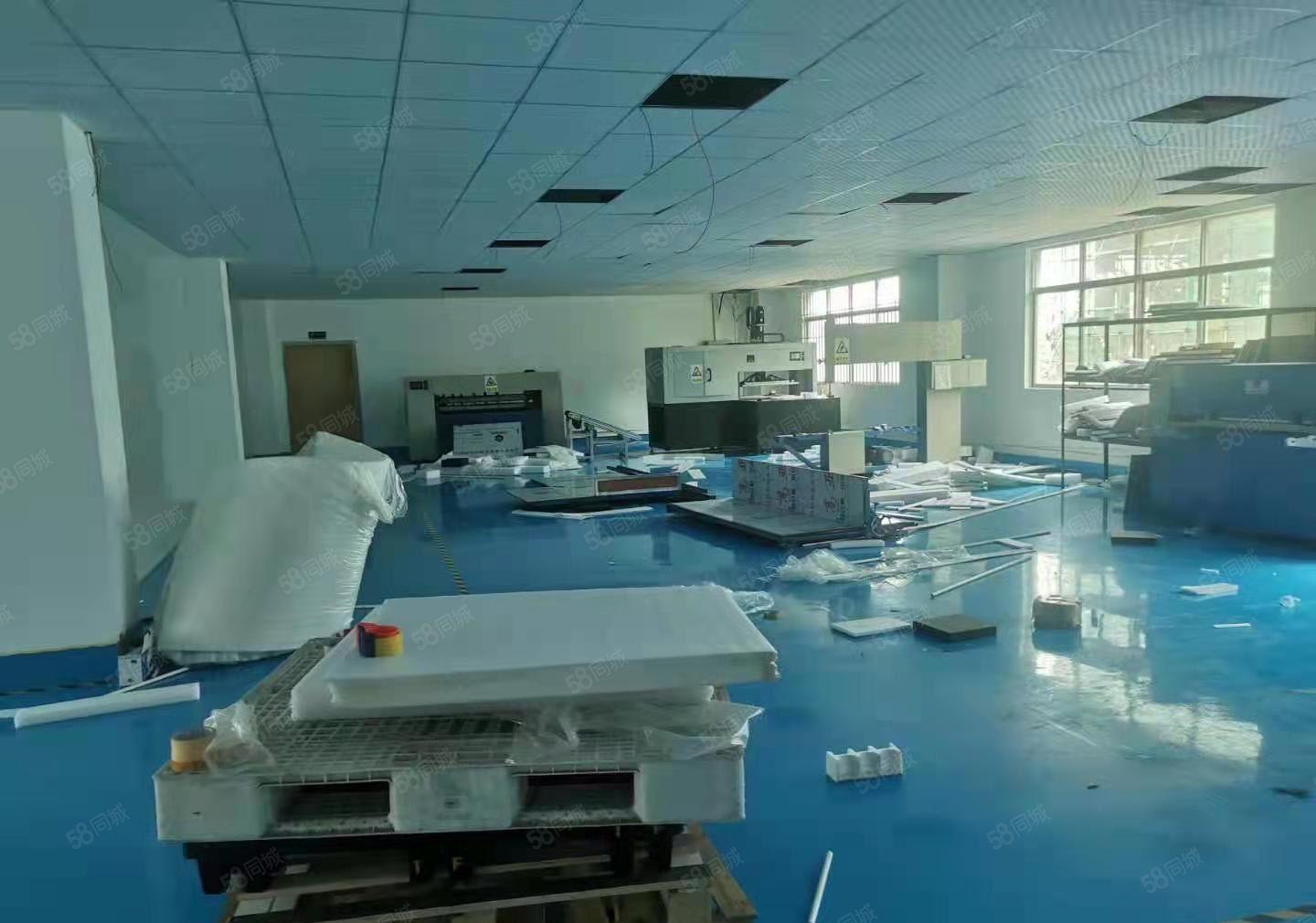 仲恺高新区潼侨原房东900平带装修厂房