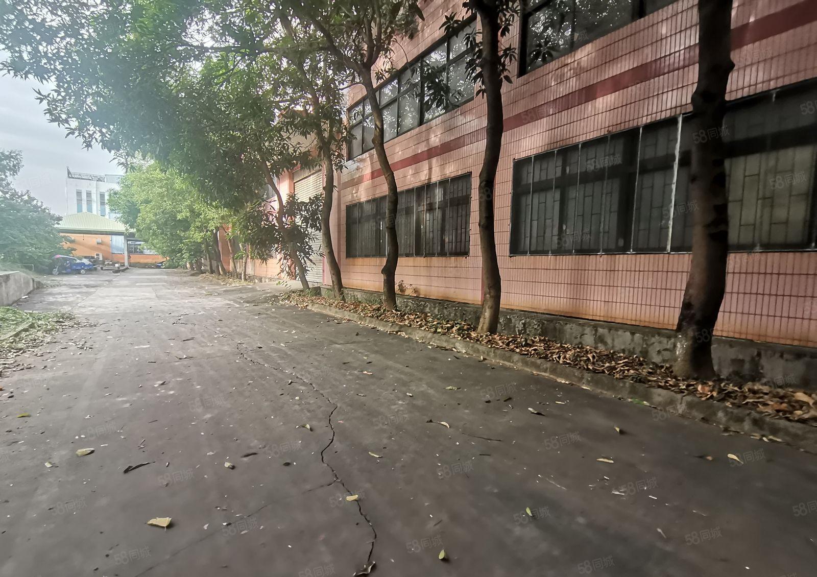 独院重工业厂房出租独栋面积16000平方滴水12米