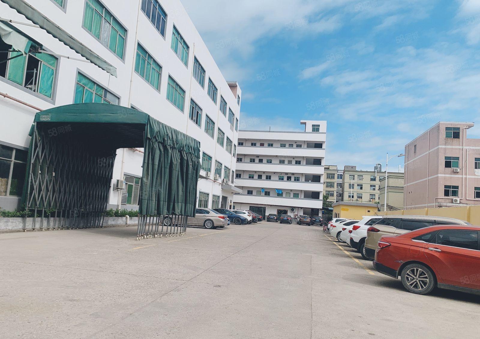 仲恺陈江独门独院4000平高6米原房东红本仓库厂房200起