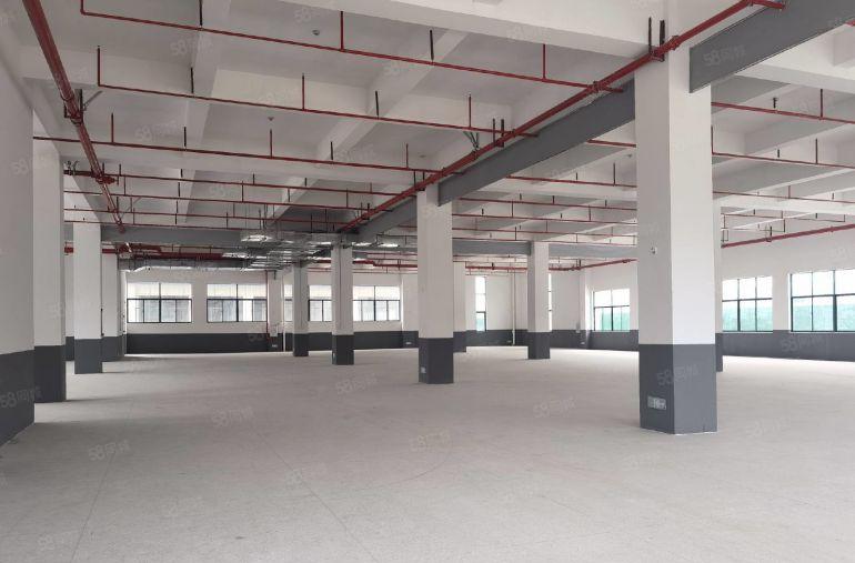 8元厂房低价出租免租6个月