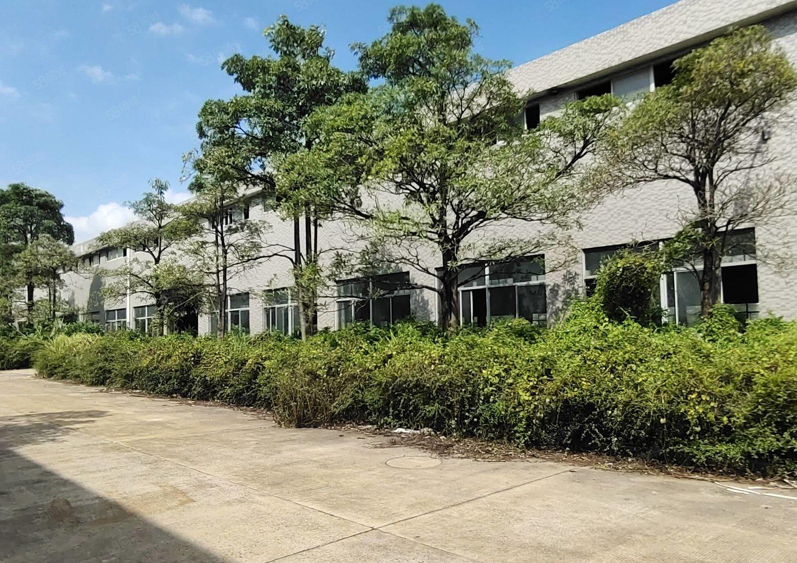 沥林镇一手房东出租8米高钢构厂房1600平，可分租