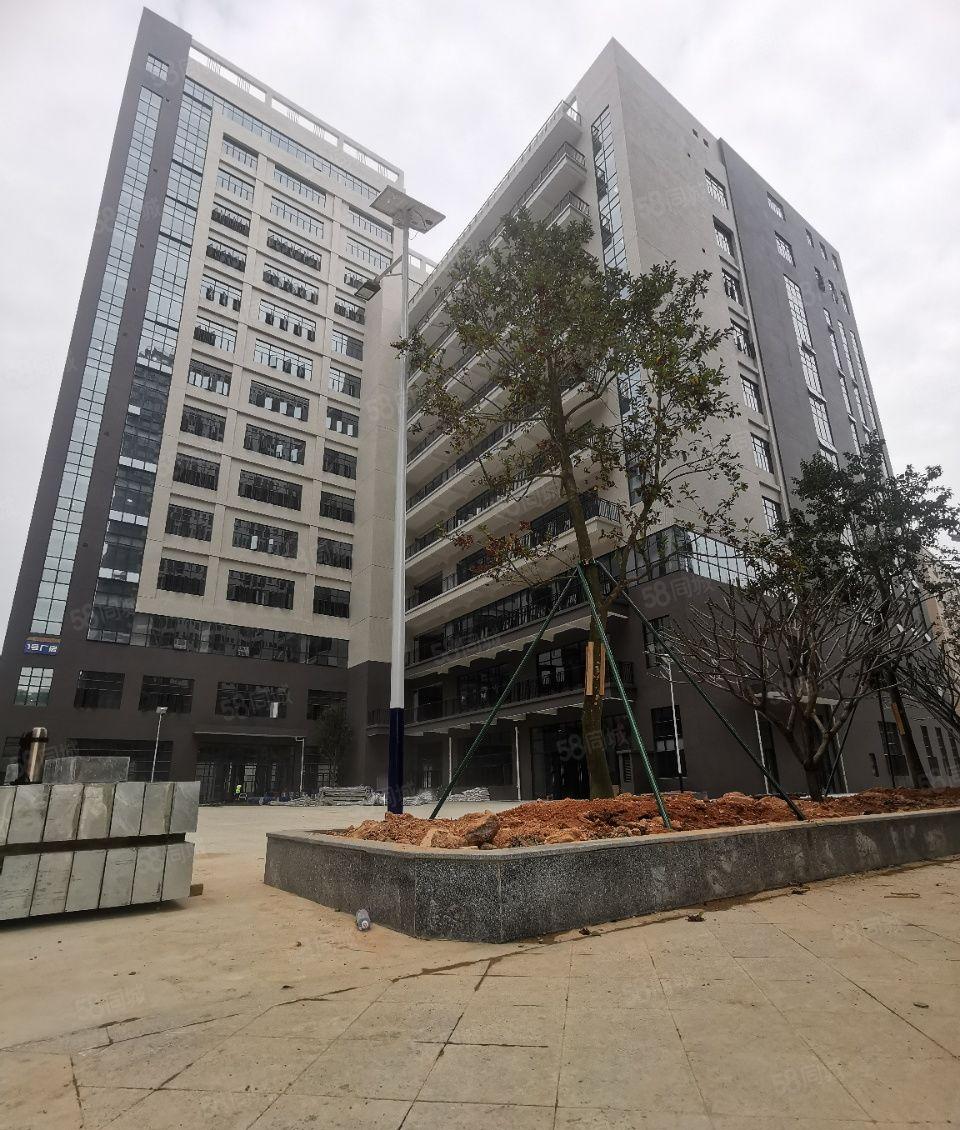 惠州市仲恺高新区全新标准厂房38万方火热招租