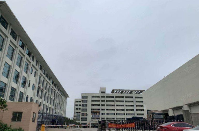 1楼10米高的特种厂房市场罕见承重10吨