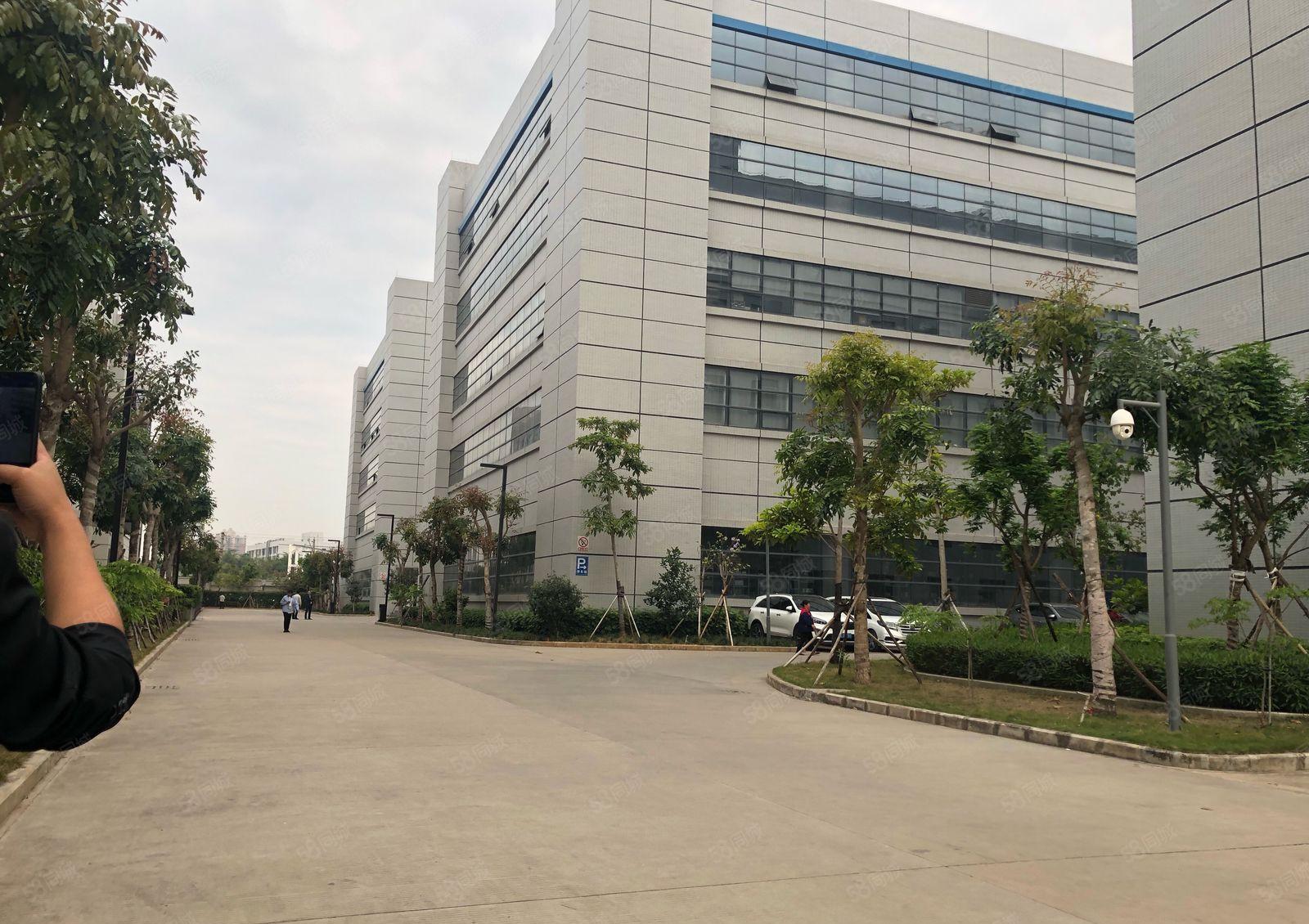 仲恺惠环工业园三楼1560平方带装修厂房可分租660平方