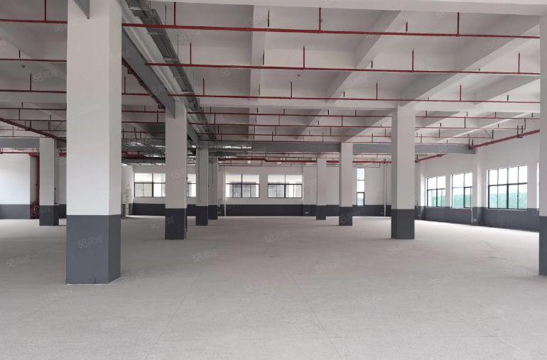 8元厂房低价出租免租6个月