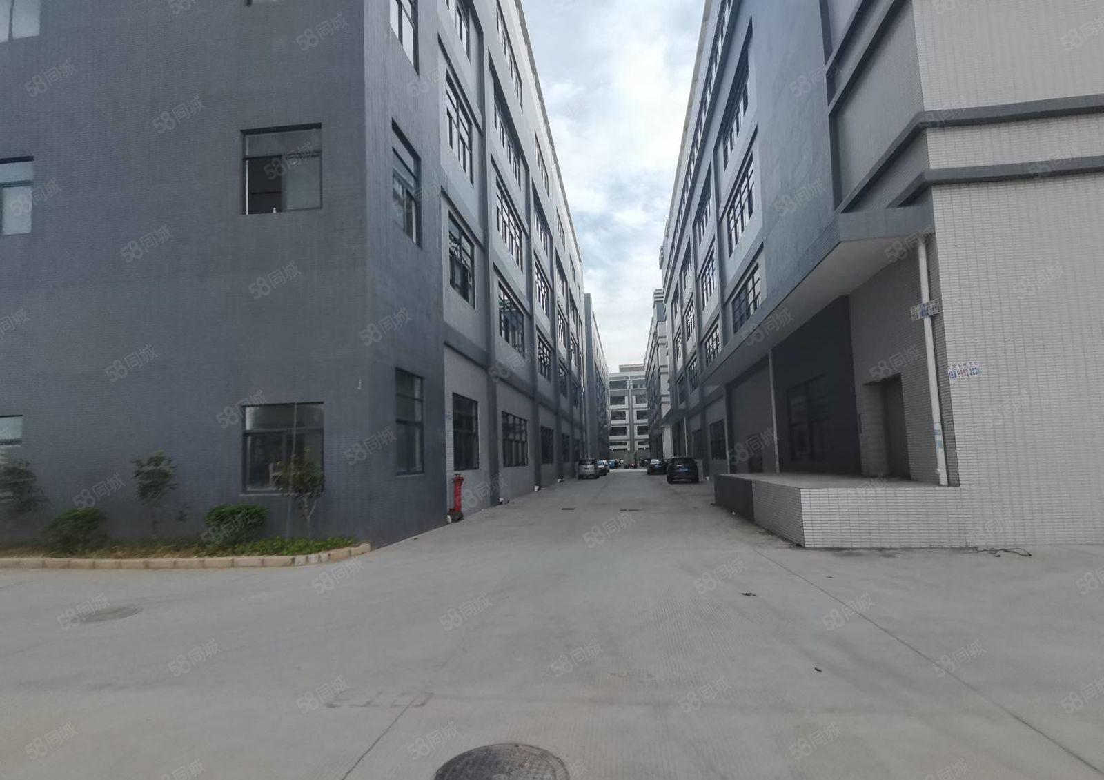 陈江惠环原房东工业园5万平红本厂房出租500平起分租一楼7米