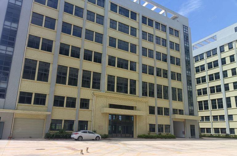 仲恺原房东全新红本独院40000平米厂房出租可分租空地超大