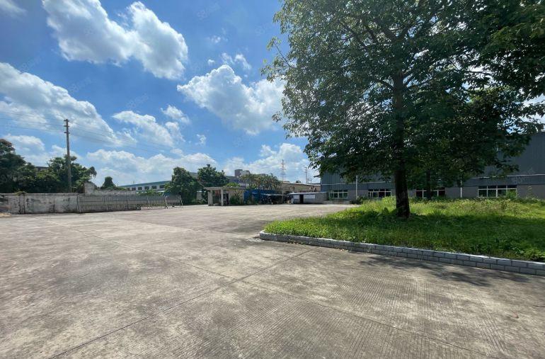 惠州惠东白花独院钢构7000平1000平起分高度11米