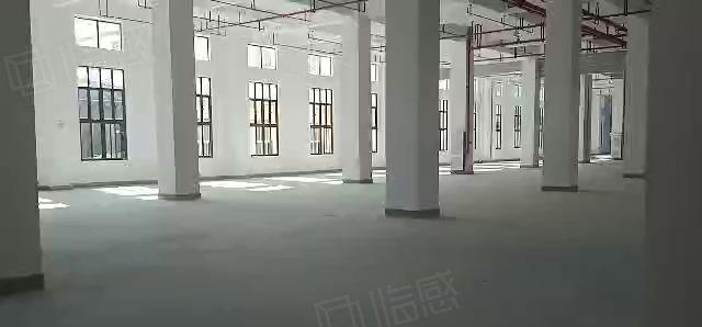 钜惠！陈江8000可分租 层高电子生物产业园厂房仓库出租