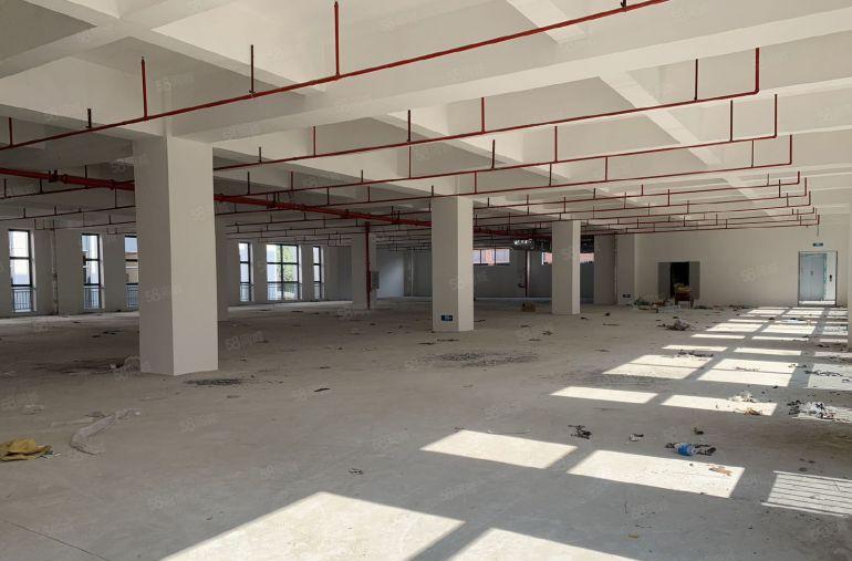 仲恺惠环亿纬附近原房东厂房出租 12元 实际面积出租 可分租