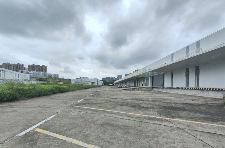 仲恺单一层双边卸货平台16000平方7米高红本厂房仓库出租