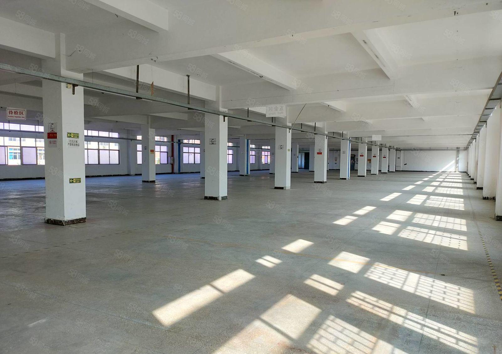 仲恺陈江五一工业区附近原房东1800平方楼上标准厂房出租可分